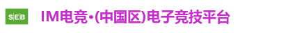 IM电竞